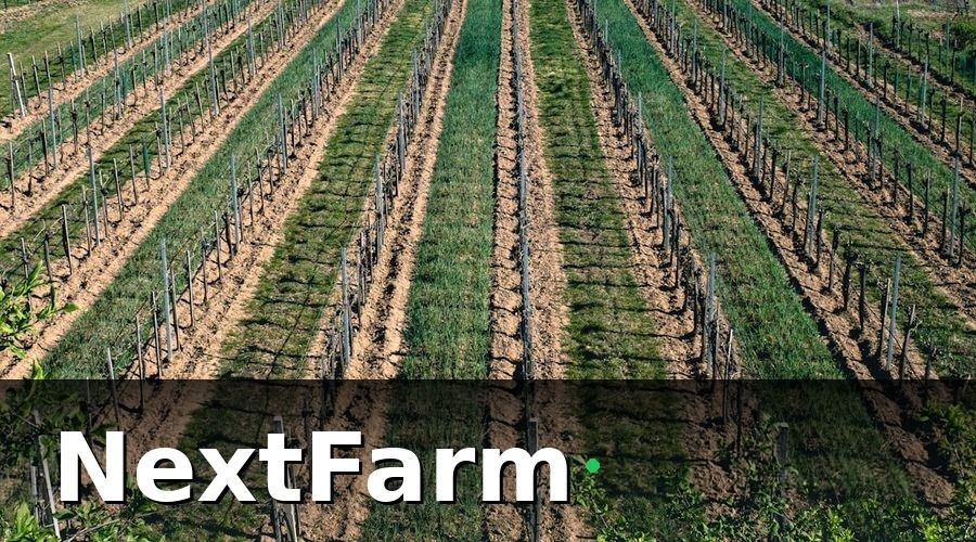 NextFarm — Bước 2: Triển khai IoT giám sát đất và khí hậu thực tế