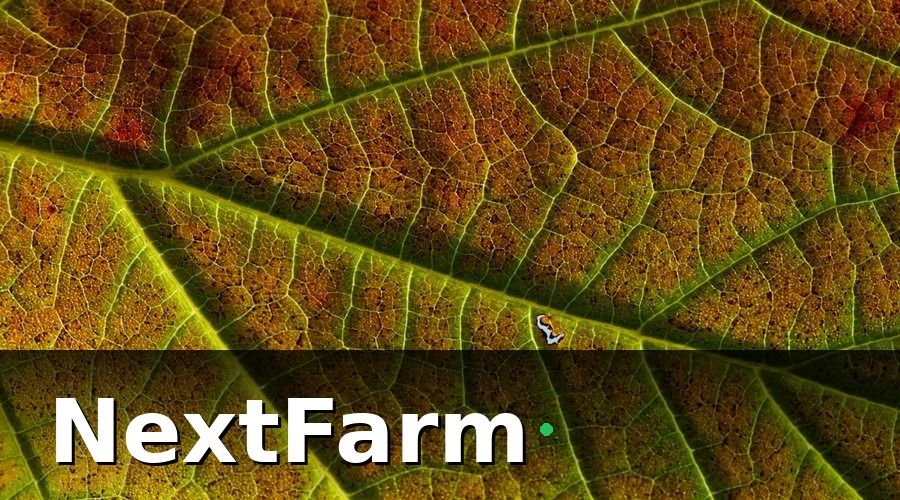 NextFarm — Bước 3: Ứng dụng AI phát hiện sâu bệnh trên cây cà phê