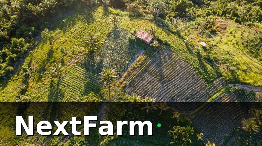 NextFarm — Bước 1 — Lập Bản Đồ Lô Thửa Vườn Dừa Theo GIS