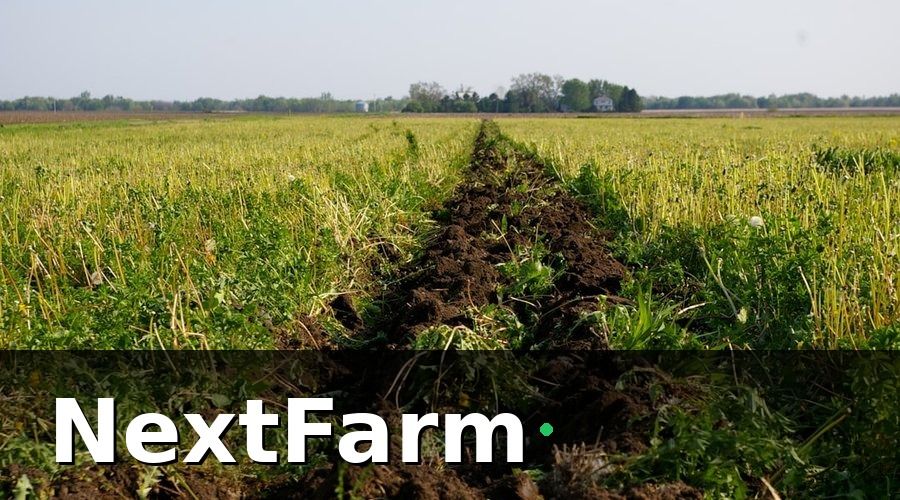 NextFarm — Bước 2: Giám Sát Độ Ẩm Đất và Tưới Nước Thông Minh