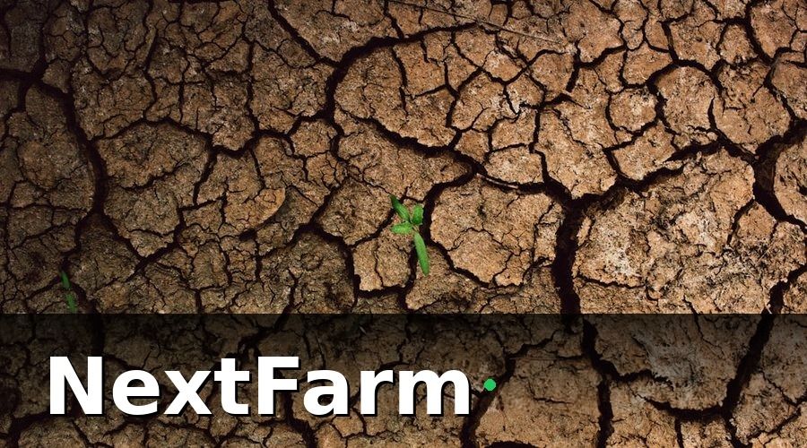 NextFarm — Tại Sao Quản Lý Vườn Nho Truyền Thống Không Còn Đủ?