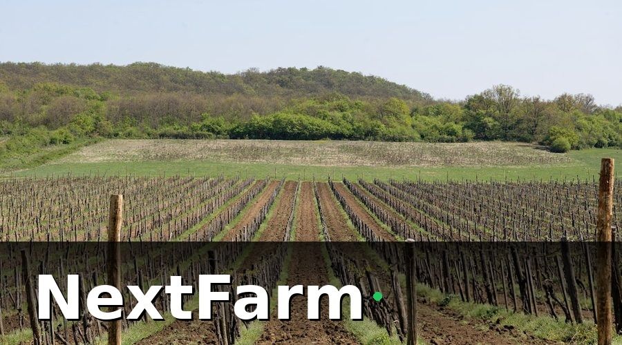 NextFarm — Bước 2 — Tự Động Hóa Hệ Thống Tưới Nhỏ Giọt