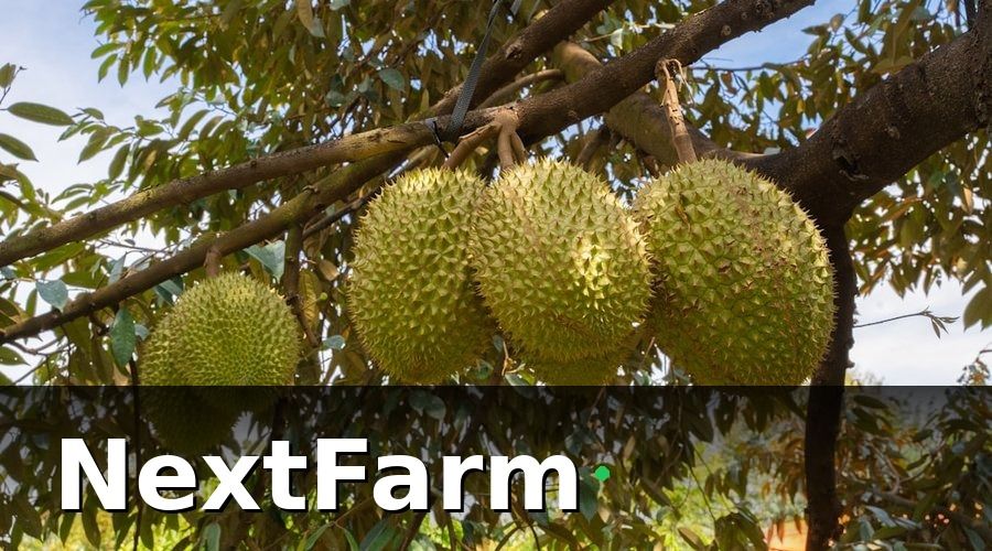 NextFarm — 1. Lập Bản Đồ Vườn và Quản Lý Lô Thửa