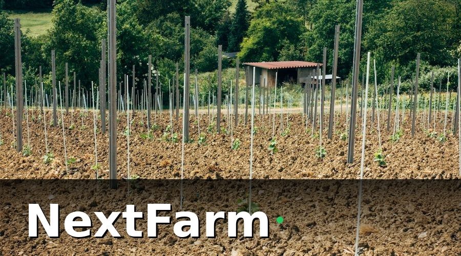 NextFarm — 2. Giám Sát Đất và Nước Bằng IoT Real-Time
