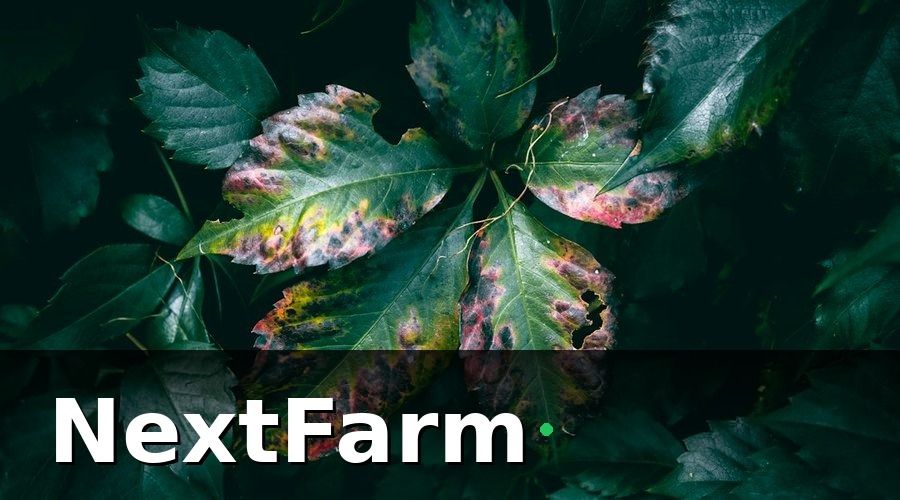 NextFarm — Tháng 5-6: Thu thập dữ liệu & huấn luyện mô hình AI