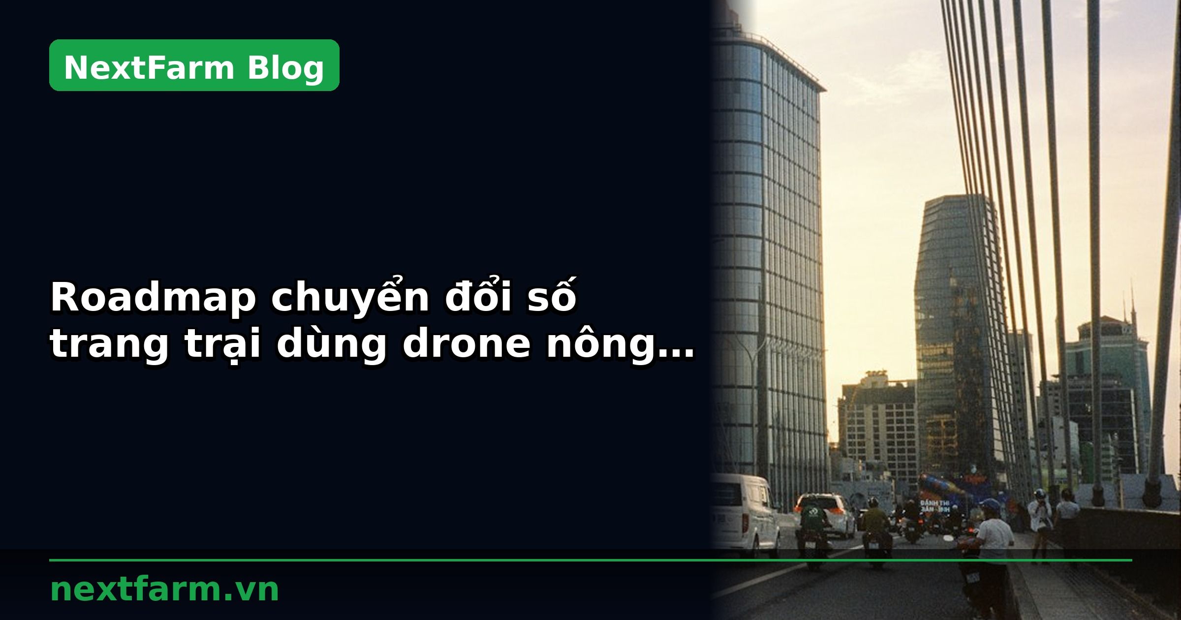 Roadmap chuyển đổi số trang trại dùng drone nông nghiệp 12 tháng | NextFarm