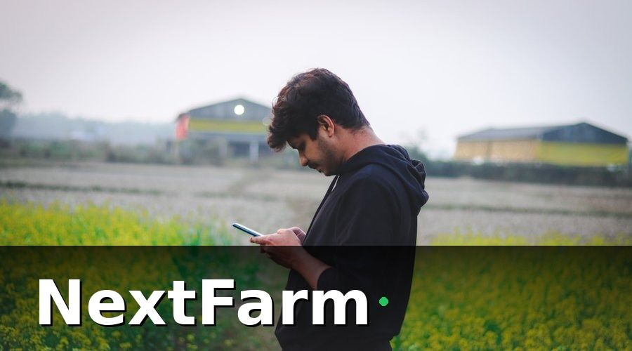 NextFarm — Tại Sao Nông Trại Cần Lộ Trình 12 Tháng?