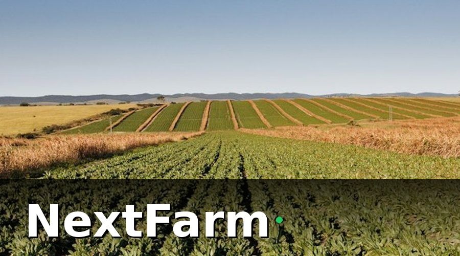 NextFarm — Giai Đoạn 1 (Tháng 1–2): Kiểm Tra Hiện Trạng & Lập Baseline