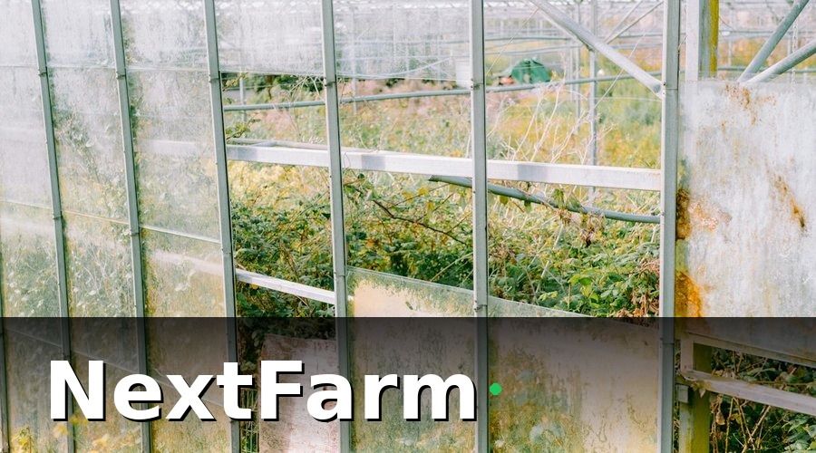 NextFarm — Tháng 5–6: Triển khai IoT giám sát môi trường