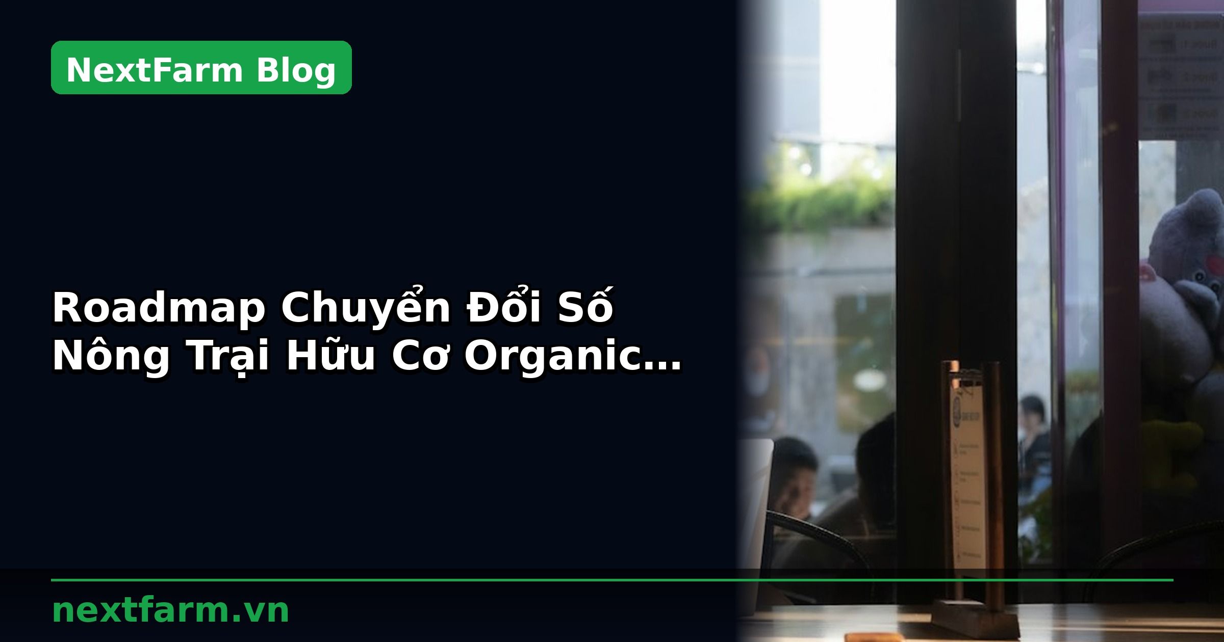 Roadmap Chuyển Đổi Số Nông Trại Hữu Cơ Organic 12 Tháng | NextFarm