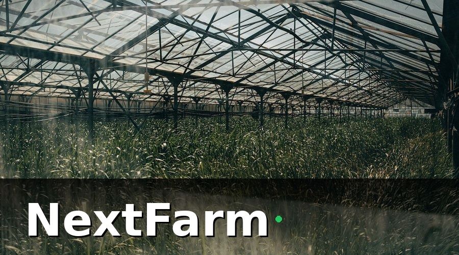 NextFarm — Tháng 3–4: Lắp đặt cảm biến IoT và thiết lập mạng cục bộ