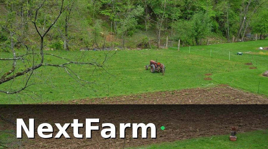 NextFarm — Giai Đoạn 1 (Tháng 1–3): Đánh Giá & Thiết Lập Nền Tảng