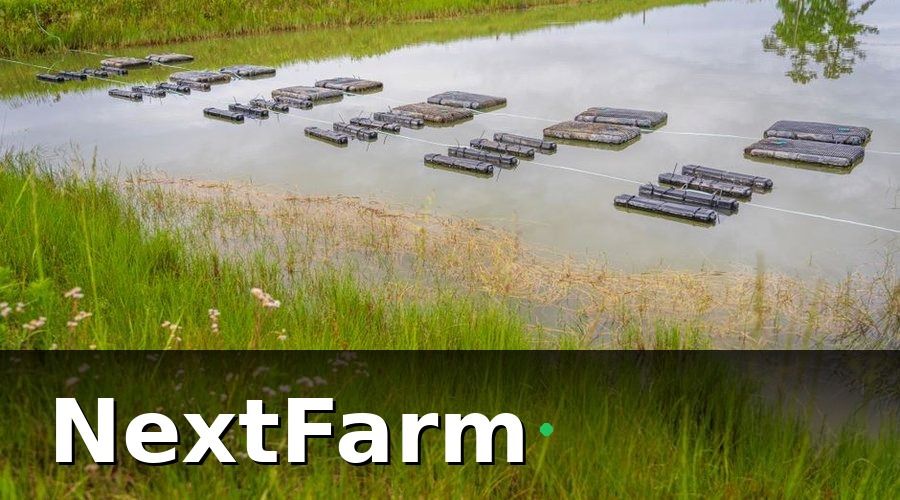 NextFarm — Giai đoạn 2 (Tháng 4–6): Lắp đặt IoT và giám sát môi trường real-time