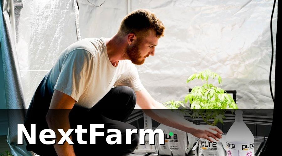 NextFarm — Giai Đoạn 1 (Tháng 1–3): Nền Móng Dữ Liệu