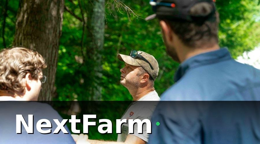 NextFarm — 12 tháng – 4 giai đoạn chính
