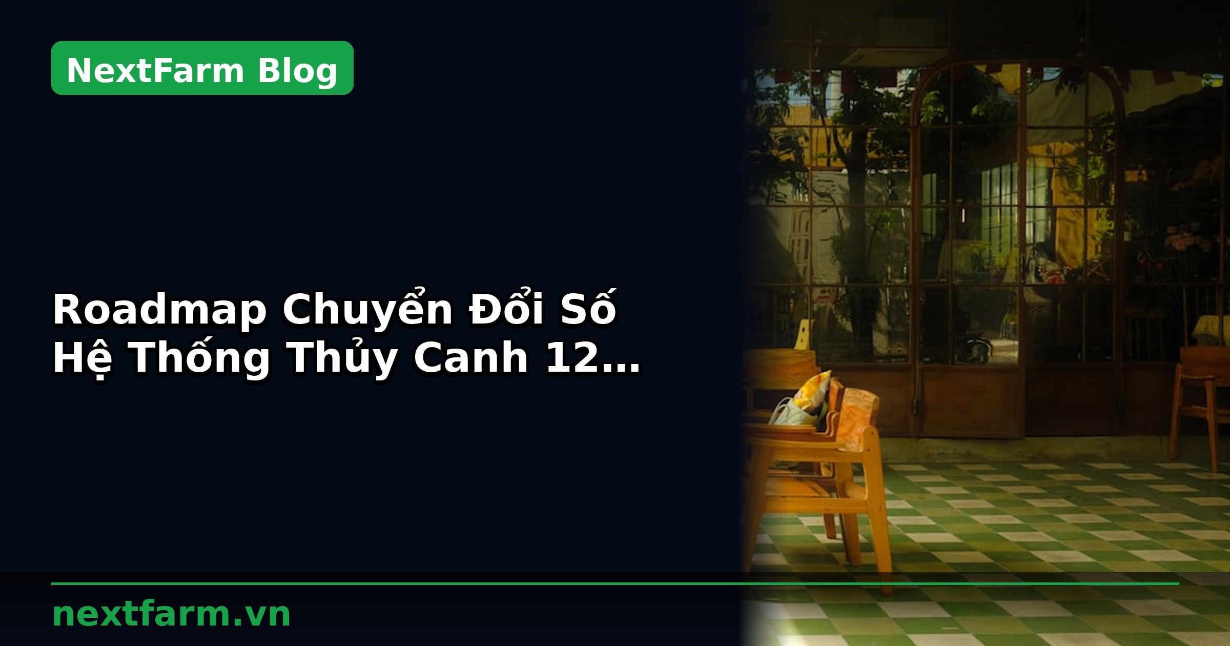 Roadmap Chuyển Đổi Số Hệ Thống Thủy Canh 12 Tháng | NextFarm