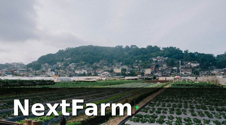 NextFarm — Tại Sao Hệ Thống Thủy Canh Cần Chuyển Đổi Số?