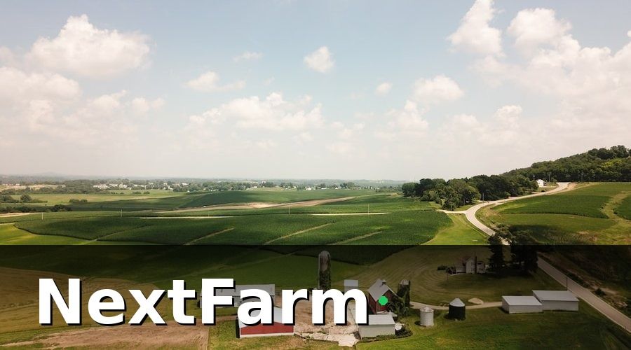 NextFarm — Tại sao trang trại bò thịt cần chuyển đổi số ngay bây giờ?