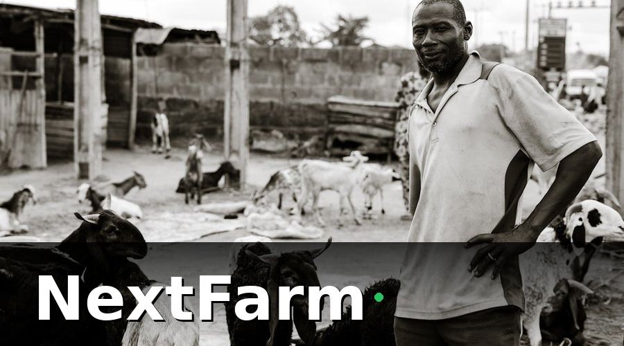 NextFarm — Tại Sao Trang Trại Dê Cừu Cần Chuyển Đổi Số Ngay Bây Giờ