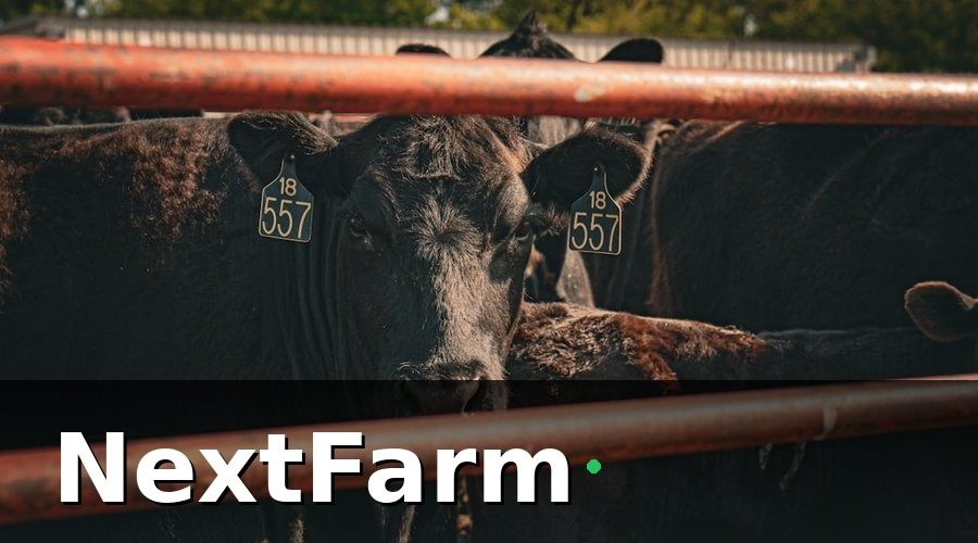 NextFarm — Giai Đoạn 1 (Tháng 1–3): Lập Nền Tảng Dữ Liệu