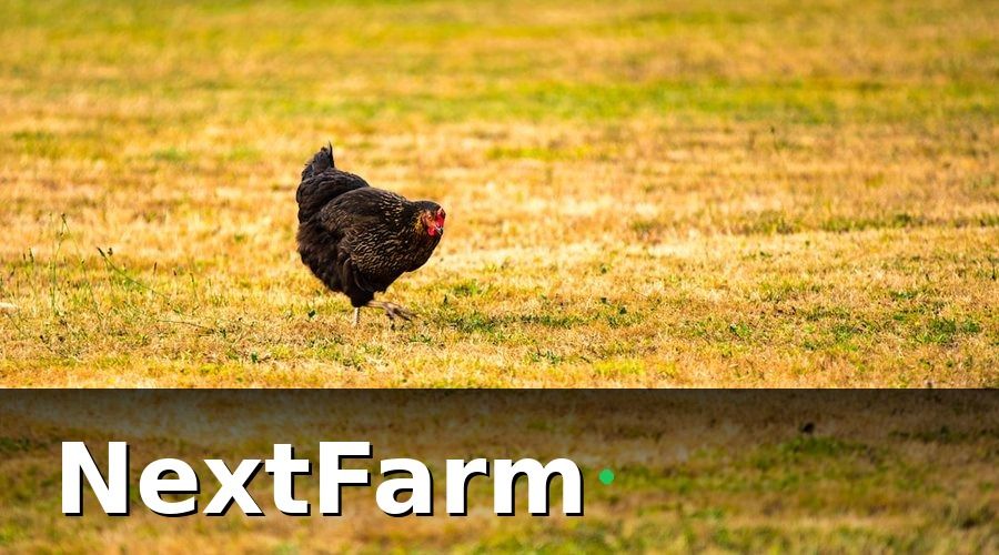 NextFarm — Giai Đoạn 1 (Tháng 1–3): Nền Tảng Dữ Liệu