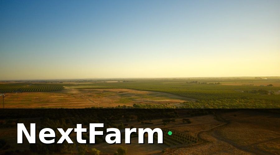 NextFarm — Tại sao trang trại vịt ngan cần roadmap chuyển đổi số?