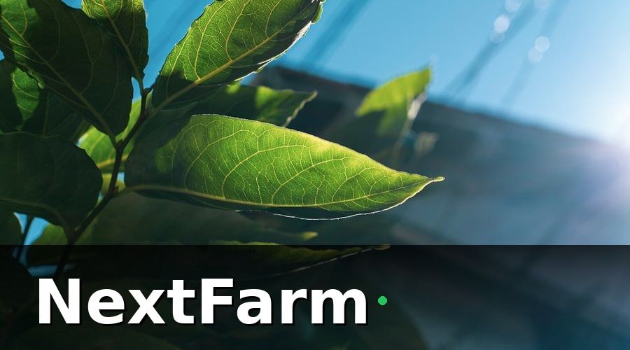 NextFarm — Giai đoạn 2 (Tháng 4–6): Triển khai IoT giám sát môi trường