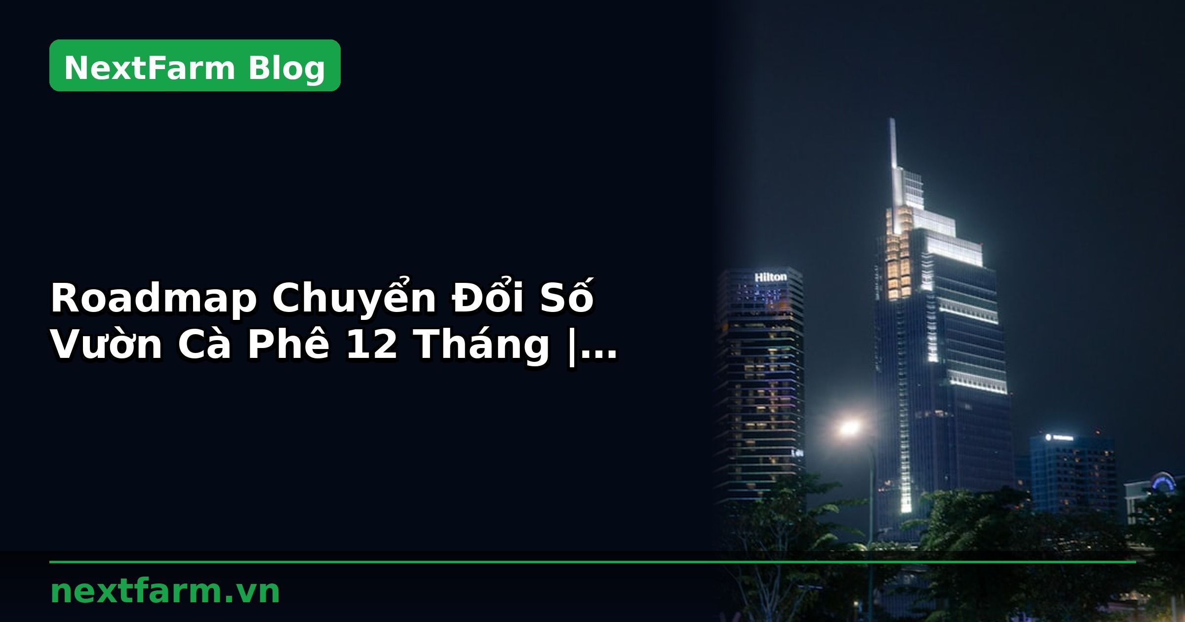 Roadmap Chuyển Đổi Số Vườn Cà Phê 12 Tháng | NextFarm