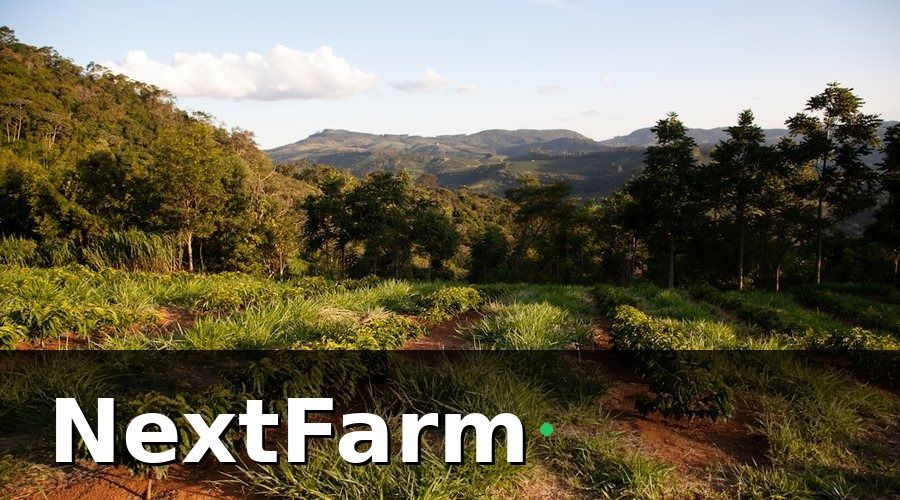 NextFarm — Tại Sao Vườn Cà Phê Cần Roadmap Chuyển Đổi Rõ Ràng?