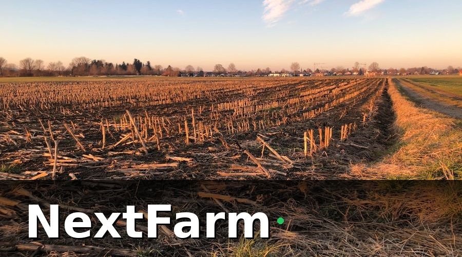 NextFarm — Giai Đoạn 1 (Tháng 1–3): Đặt Nền Tảng Dữ Liệu