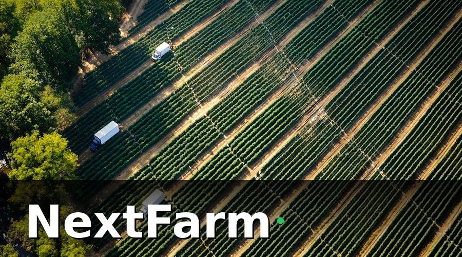 NextFarm — Tại sao vườn cây ăn quả cần roadmap chuyển đổi số?