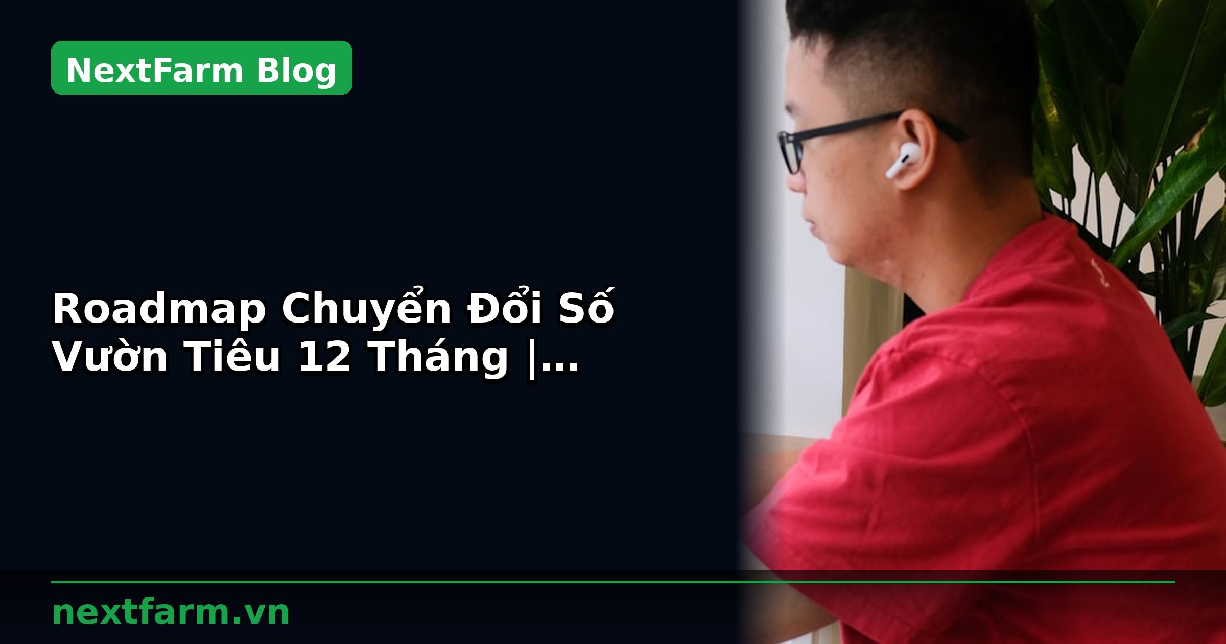 Roadmap Chuyển Đổi Số Vườn Tiêu 12 Tháng | NextFarm
