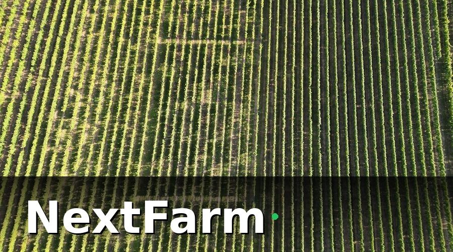 NextFarm — Giai đoạn 1 (Tháng 1–3): Lập nền tảng dữ liệu
