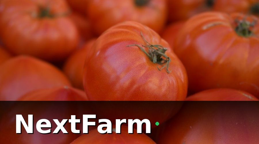 NextFarm — Sản Xuất Nông Nghiệp Sạch Là Gì?