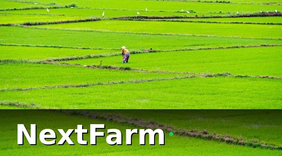 NextFarm — Tại Sao HTX Nông Nghiệp Cần Số Hóa Ngay Bây Giờ?