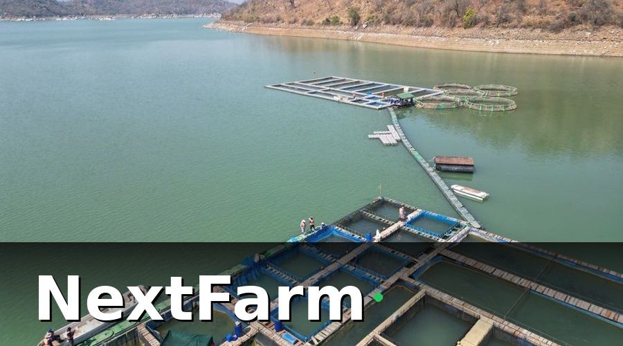 NextFarm — Các phần mềm ao nuôi thủy sản công nghiệp đáng chú ý tại Việt Nam