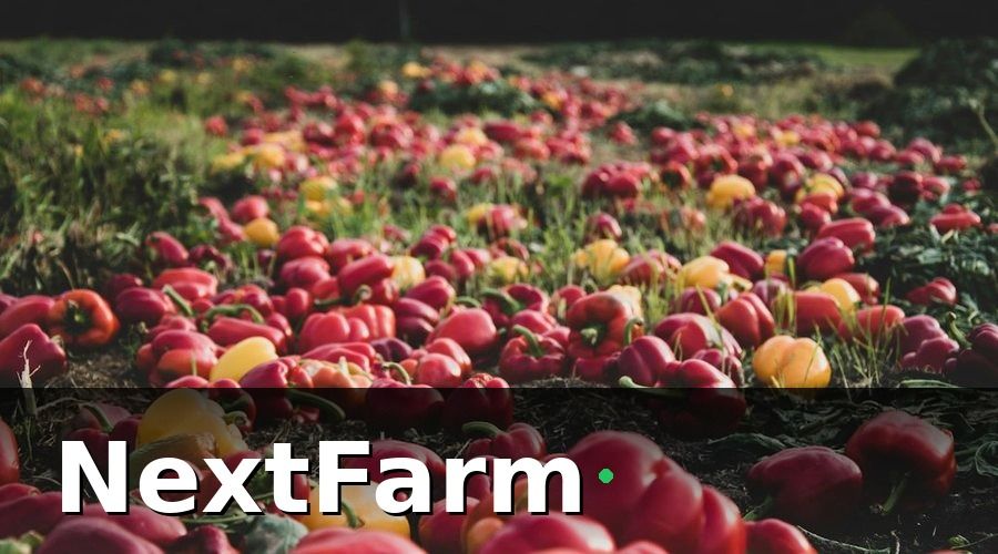 NextFarm — So Sánh Phần Mềm HACCP Nông Sản Phổ Biến