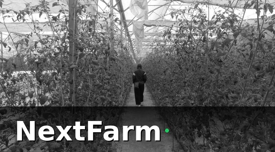 NextFarm — IoT nông nghiệp giải quyết vấn đề gì?