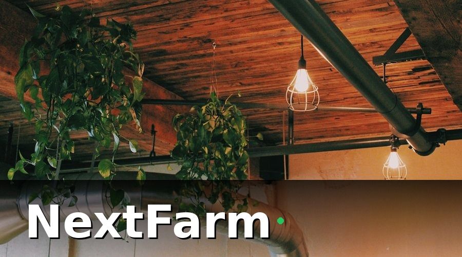 NextFarm — Phân Tích Chi Tiết Từng Giải Pháp
