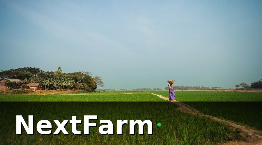 NextFarm — Phân tích chi tiết từng giải pháp