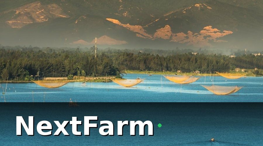 NextFarm — Tiêu chí nào quan trọng khi chọn phần mềm nuôi tôm?