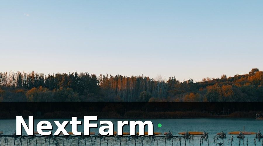NextFarm — Phân tích từng giải pháp