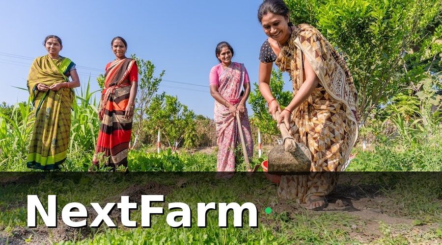 NextFarm — HTX Nông Nghiệp Cần Gì Từ Một Phần Mềm Quản Lý?