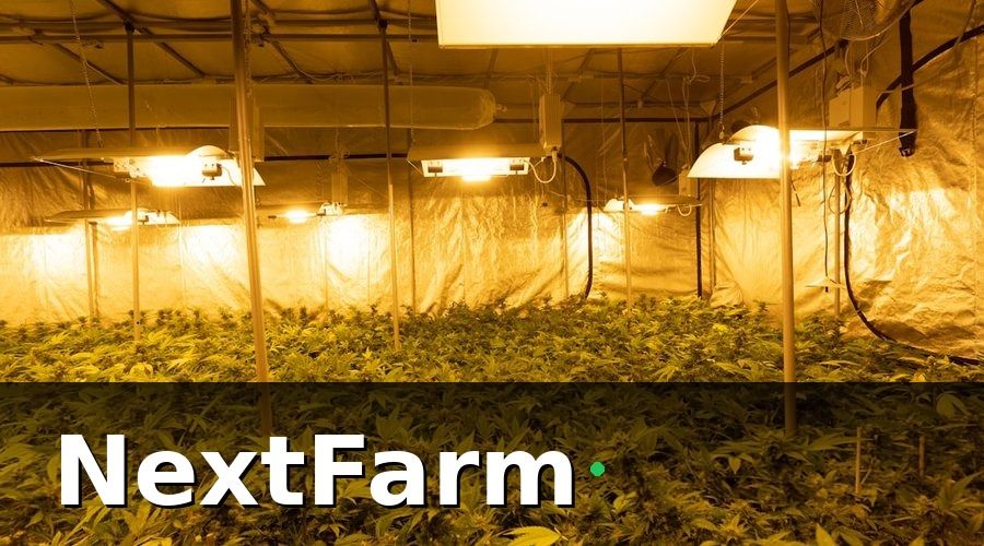 NextFarm — Tại sao cần phần mềm quản lý thủy canh?