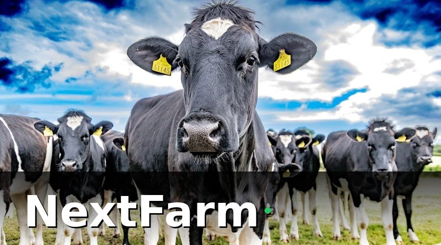 NextFarm — Tại Sao Trang Trại Bò Sữa Cần Phần Mềm Chuyên Biệt?