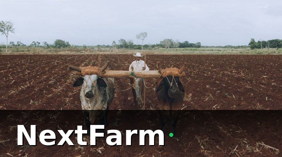 NextFarm — Phân tích chi tiết từng giải pháp