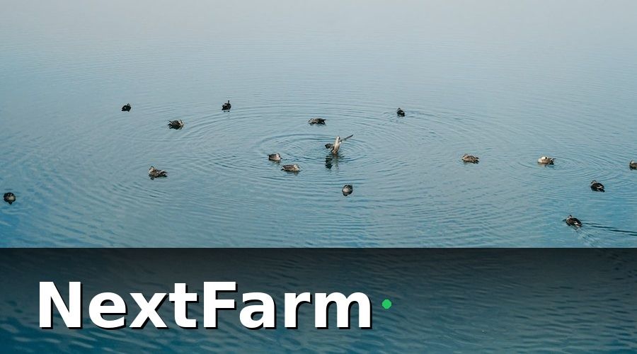 NextFarm — Tại sao trang trại vịt ngan cần phần mềm quản lý chuyên biệt?