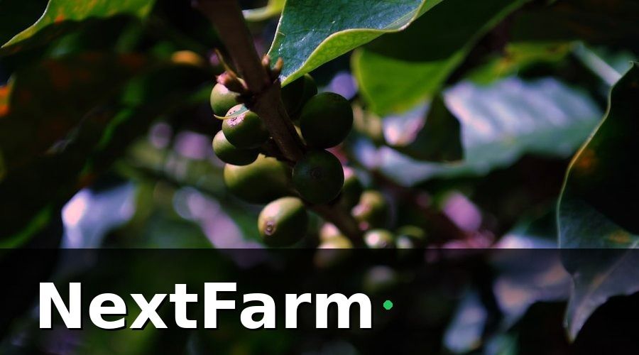 NextFarm — Tại Sao Vườn Cà Phê Cần Phần Mềm Quản Lý Chuyên Biệt?