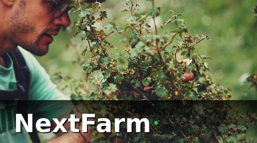 NextFarm — Tại sao nhà vườn cần phần mềm quản lý chuyên biệt?