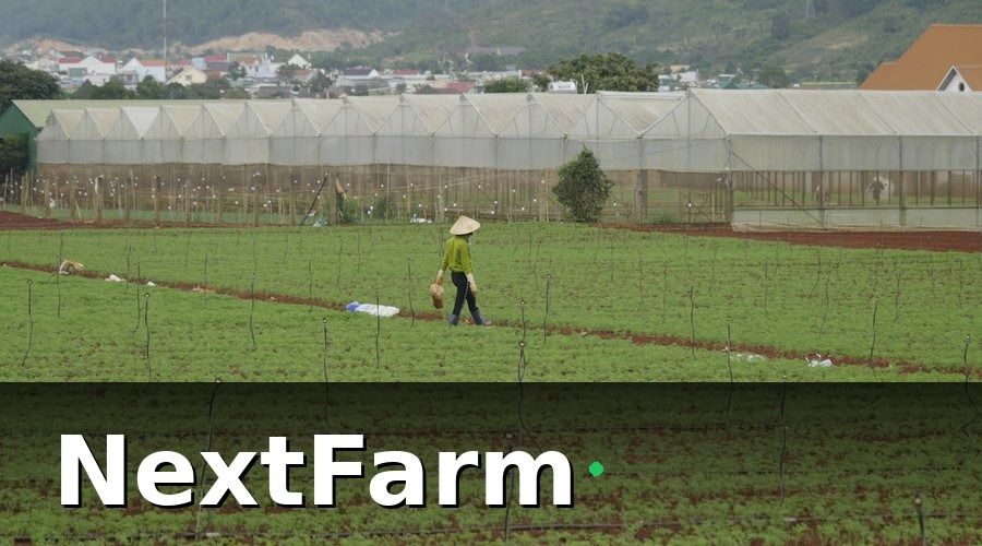 NextFarm — Tại sao vườn tiêu cần phần mềm quản lý chuyên biệt?
